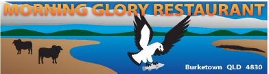 Morning glory logo