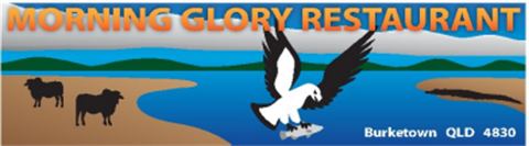 Morning_Glory_1.png
